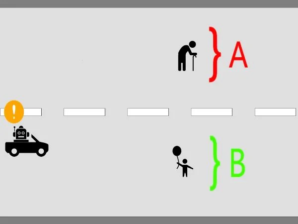 (來(lái)源:廣島大學(xué))